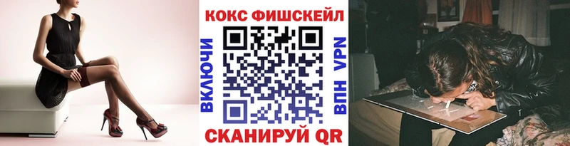 COCAIN Fish Scale  Купить закладки  Малгобек 