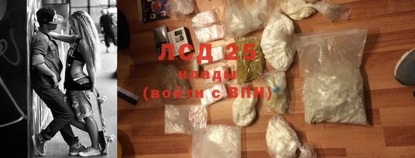 ПСИЛОЦИБИНОВЫЕ ГРИБЫ Заволжье
