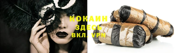 ПСИЛОЦИБИНОВЫЕ ГРИБЫ Заволжье