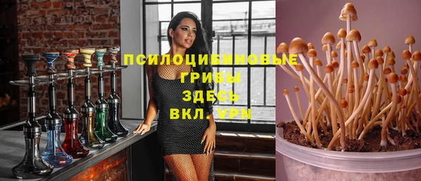 мдпв Зеленокумск