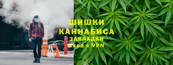 ПСИЛОЦИБИНОВЫЕ ГРИБЫ Заволжье