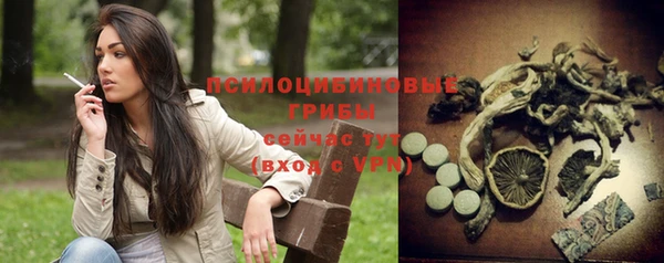 a pvp Заволжск