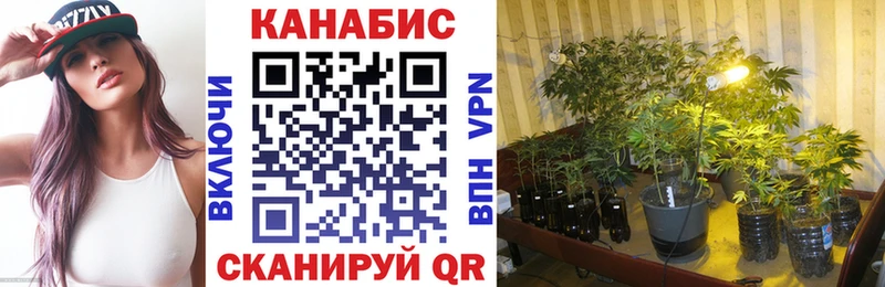 Купить закладки  Малгобек  Канабис AK-47 